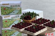 万年历表高速赋能产业升级：一条“杨梅路”的致富密码